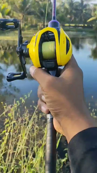 Suara zing reel bc fugu arnius dc 151xg 🗿#reelbc #reelbaitcasting #shimano #curadodc