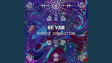Hybrid Connection
