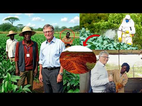 Imiti Baciye Iburayi Yica Udukoko Mu Mirima Yoherezwa Muri Africa Ingaruka Itera Ubuzima Reba Byose