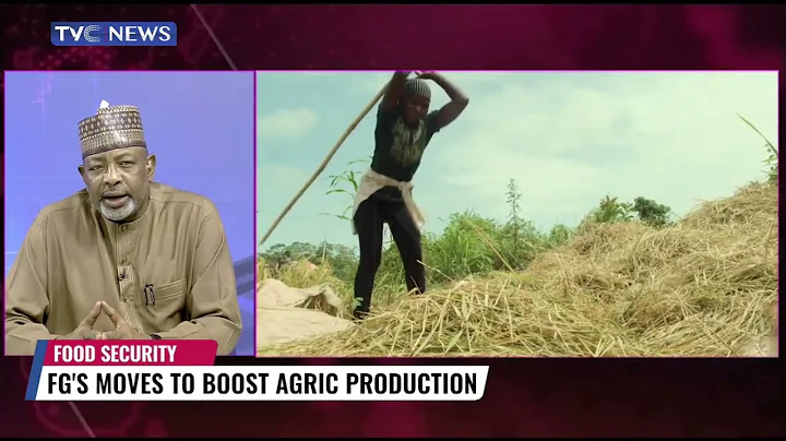 Food Insecurity | The Situation Is A Combination Of Several Factors - Kyari