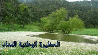 الحظيرة الوطنية المداد بثنية الحد