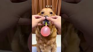 Balloon Pumping Challenge