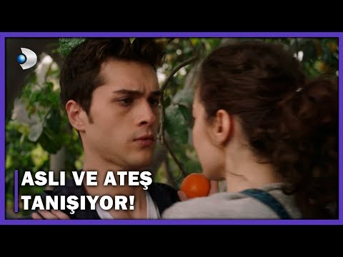 Ateş Ve Aslı Tanışıyor! - Bodrum Masalı 1.Bölüm