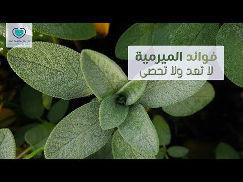 فوائد الميرمية الصحية (جنة الأعشاب) لا تعد ولا تحصى