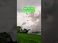 Kisan power 💪 #new #today #trending #kisan #ketibadi #viralshort #youtube #viral #viralvideo #shorts