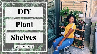 DIY Plant Shelves | Inside or Outside | How to arrange plants