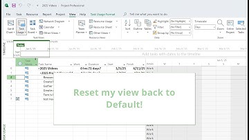 Reset Views to Default in Microsoft Project