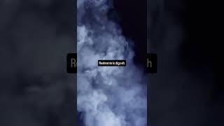 Realmente lo digo eh Dolarización Javier Milei Banco Central Casta Política Elecciones 2027 Kicillof