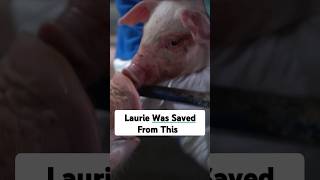 We Saved Her Baby