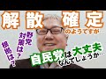 【詳細解説】9割9分9厘9毛、解散総選挙が決まったようですが、高市早苗総理は何を根拠に選挙に打って出たのでしょうか。