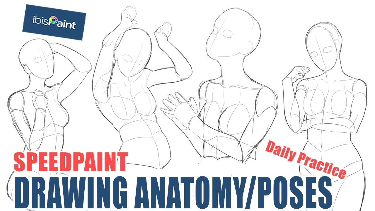 Menggambar Anatomi Pose Speedpaint tutorial menggambar di ibispaint x ...