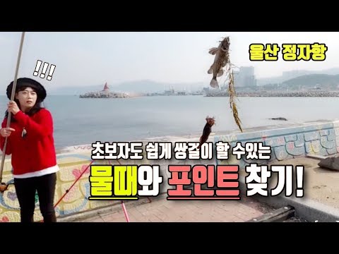 _울산 <strong>정자항</strong> [여자 낚시꾼 아잉2]