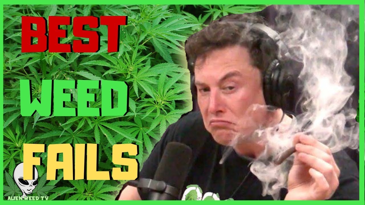 BEST WEED FAILS 2019 | Smoking Weed Fails Compilation #7