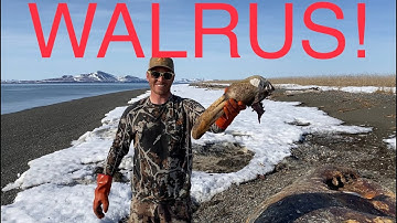 S21Ep11: Alaska Beach Combing for Walrus Tusks and Glass Balls