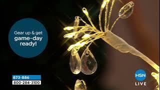 august   leo 43 Jeweled LED Hanging Snowflake