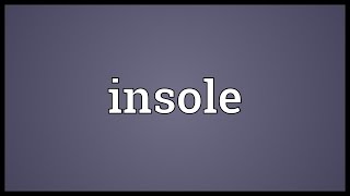 Insole Meaning