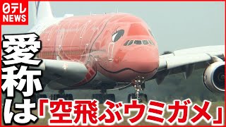 【世界最大の旅客機】「エアバスA380」3号機　成田に到着