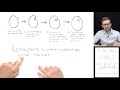 Endocytosis and Its Types