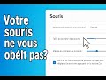 Réglages de la souris dans Windows 11