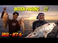 #74 - MISI INTERN-FISH [BUDAK BARU BELAJAR]