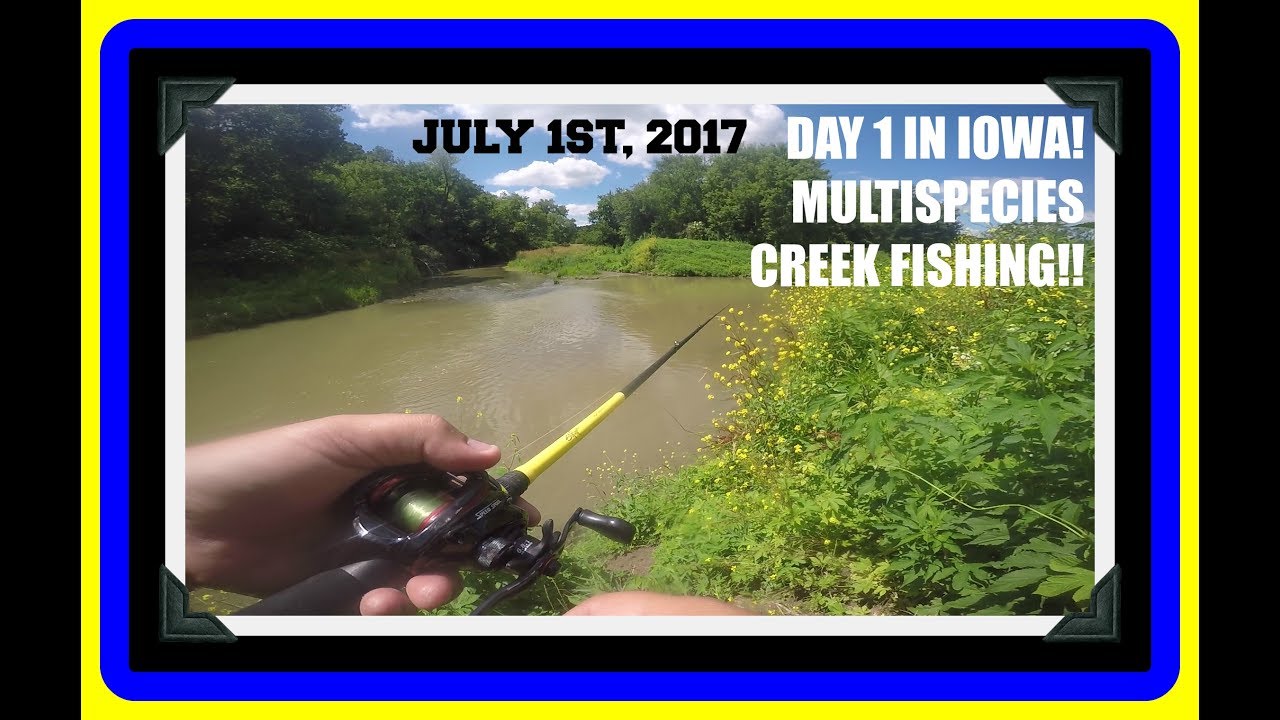 WHAT THE HECK! MULTISPECIES CREEK FISHING IN DUBUQUE IOWA! YouTube
