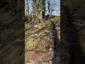 Behind The Scenes Episode 40 - #shorts