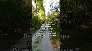 И солнце по небу бескрайнему ширь, И птичий гомон, и звук дождя И осень стелит твои шаги И сердце...