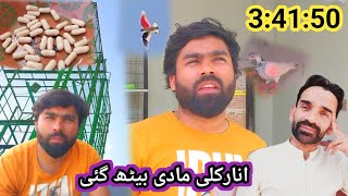 3:41:40 py kabootari Beth gyi || shani pigeon club jallo