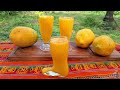 Licuado de Papaya Mamon La Bebida Tropical