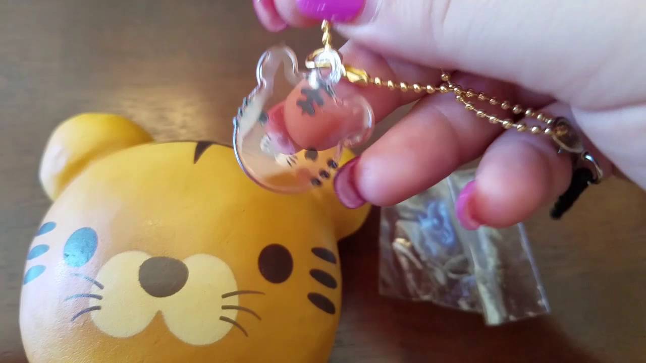 🐼🐯Puni-maru animal buns🐸🐺 - YouTube