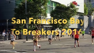 San Francisco Bay To Breakers 2016 May, 15th 8:05AM