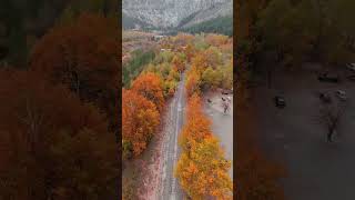 Most Beautiful Allahumma Salli Ala Muhammad ❤️ Soul Touching Salawat | Egzon Ibrahimi #egzonibrahimi