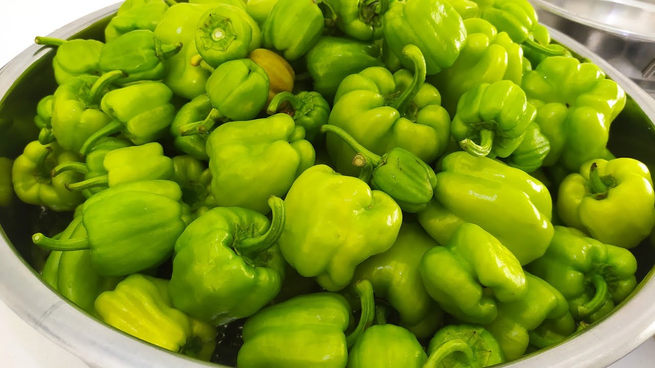 ????YİYENLER İNANAMIYOR❗EN DOĞRU ,DOLMA BİBERİ BUZLUĞA KOYMA VE PİŞİRME YONTEMİ???? ????YİYENLER İNANAMIYOR❗EN DOĞRU ,DOLMA BİBERİ BUZLUĞA KOYMA VE PİŞİRME YONTEMİ????