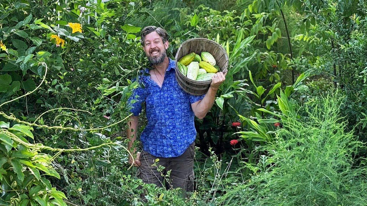 🌼 This is the Most Beautiful Garden We've Ever Grown (you can do this too!)