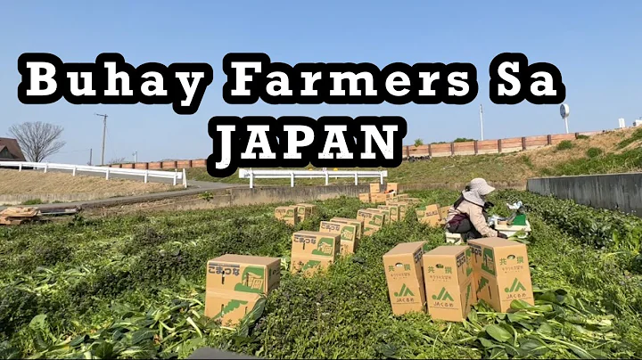 Life as a Farmer in Japan | Carol Orcasitas