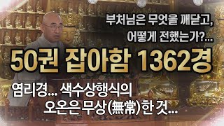 잡아함경... 1089회, 염리경... 색수상행식의 오온은 무상(無常)한 것...