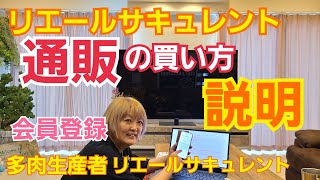 【リエールサキュレント@1880】カンテ×ラウレンシス(大苗) mqdefault.jpg