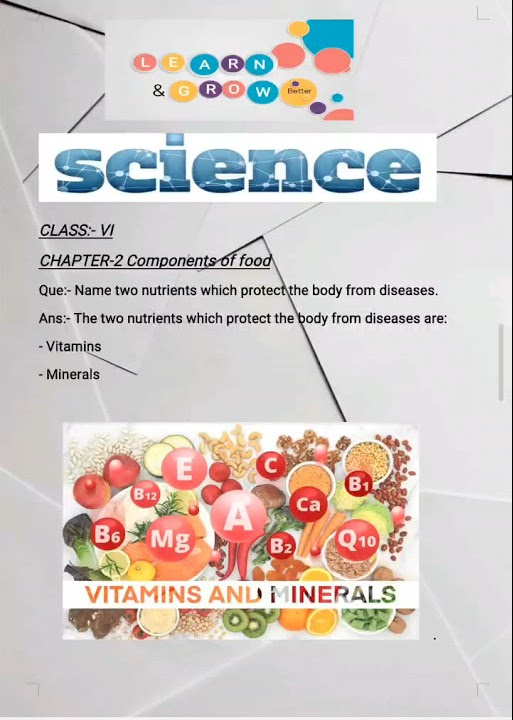 name-two-nutrients-which-protect-the-body-from-diseases-chapter-2