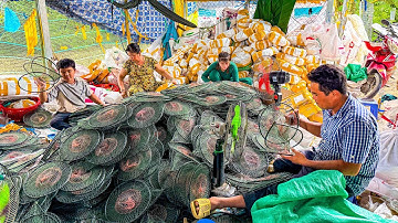 Xưởng Sản Xuất Lờ Cá Cải Tiến HIỆP GÀ Vào Mùa Mưa Sẽ Ra Sao