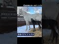 【ママになったソダシと長女の動画を公開!】