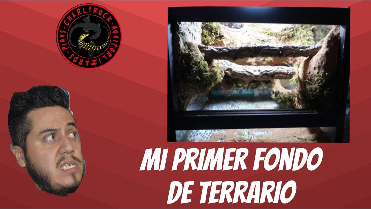 ¿COMO HACER FONDO PARA TERRARIO TROPICAL?
