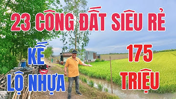 MS 1066 | Siêu phẩm độc lạ | 23 công đất ruộng 3 mặt tiền giá rẻ bèo tại Vĩnh Long
