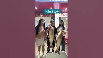anh cần thủ xin tiền gái xinh để đi câu cá, câu được cá thì cho 2 em gái hết #fishing #cauca #short