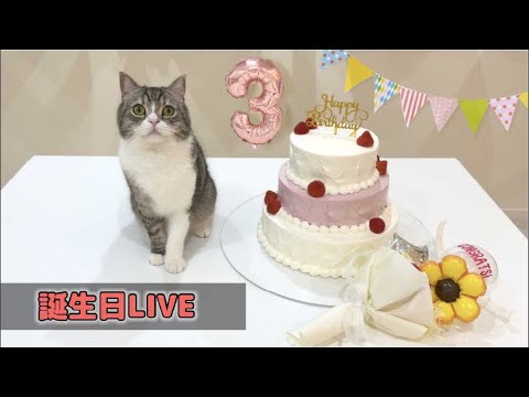 【祝3歳】もち様の誕生日LIVE