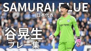 町田ゼルビア　谷晃生　提灯 まさに守護神！FC町田ゼルビアGK谷晃生の連続シュートストップが