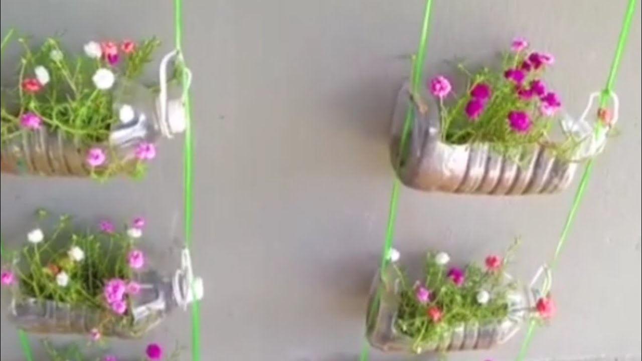 😍أفكار وحيل لغرس النباتات وتزين السطح😍 أو إعادة تزين الحديقة😍