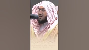القارئ بندر بليلة ((سورة الاحقاف))