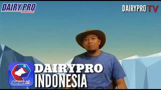 Fitur menarik dalam Aplikasi Dairy Pro Indonesia