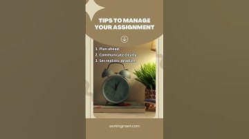 Tips for managing your assignments | Workingment Assignment Helper