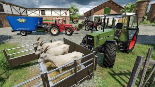 Small tractors working at the Farm - New animals transport and feed | Farming Simulator 22 screenshot 1